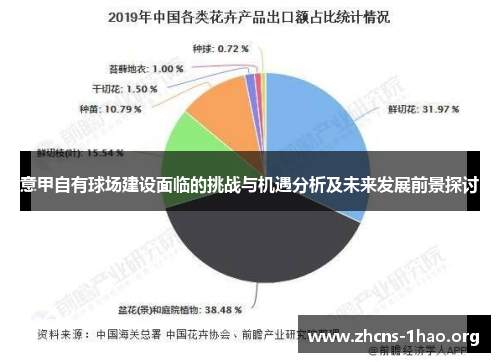 意甲自有球场建设面临的挑战与机遇分析及未来发展前景探讨